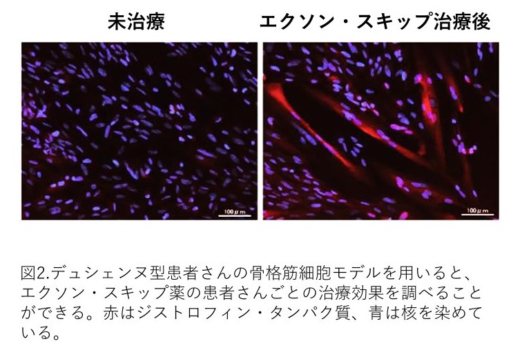 青木吉嗣先生の図２