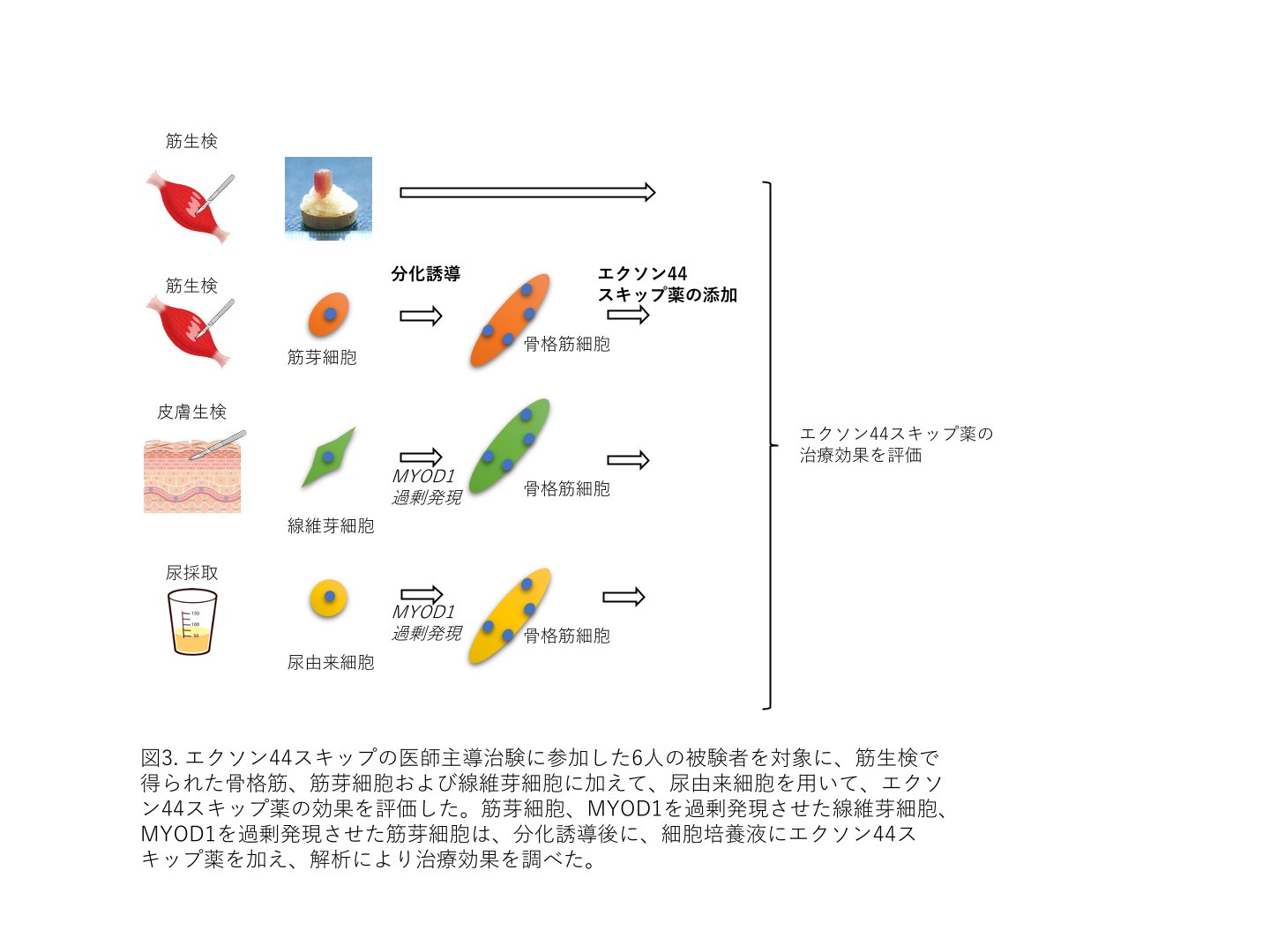 青木吉嗣先生の図３